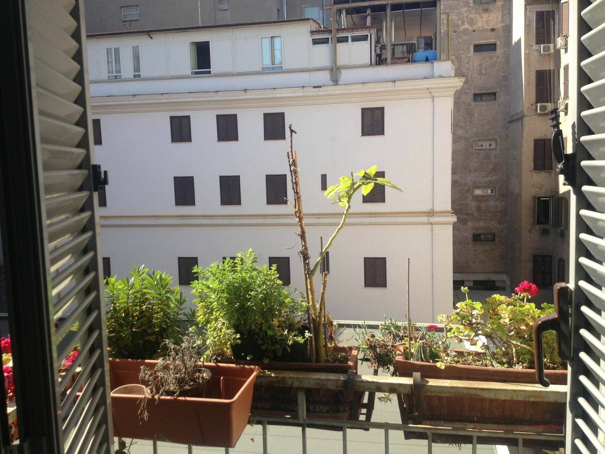 Roma Termini Inn Εξωτερικό φωτογραφία